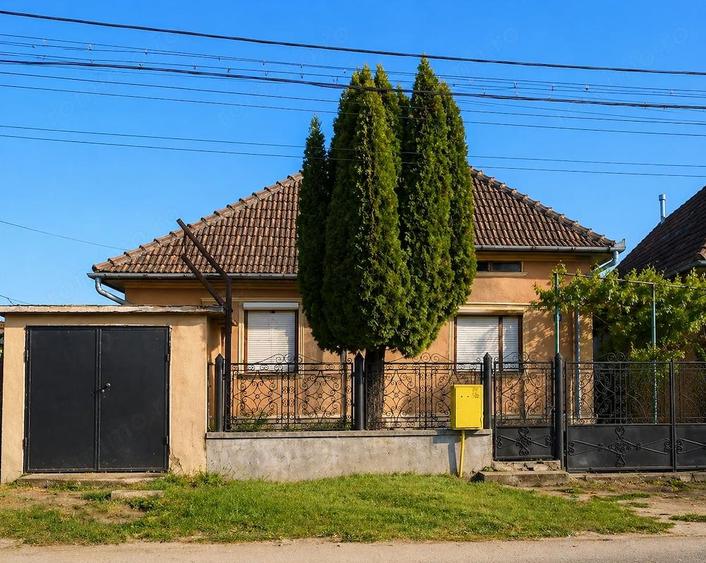 Casa de vanzare cu 14 ari de teren , pe Str. Nicolae Grigorescu - 1