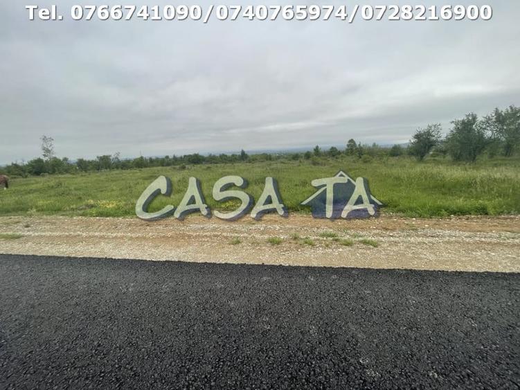 Teren Intravilan (4718 mp), Danesti - 2