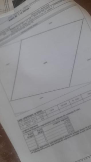 SECTOR 6 /GIULESTI STR PODUL DAMBOVITEI 130 EURO/MP - 3