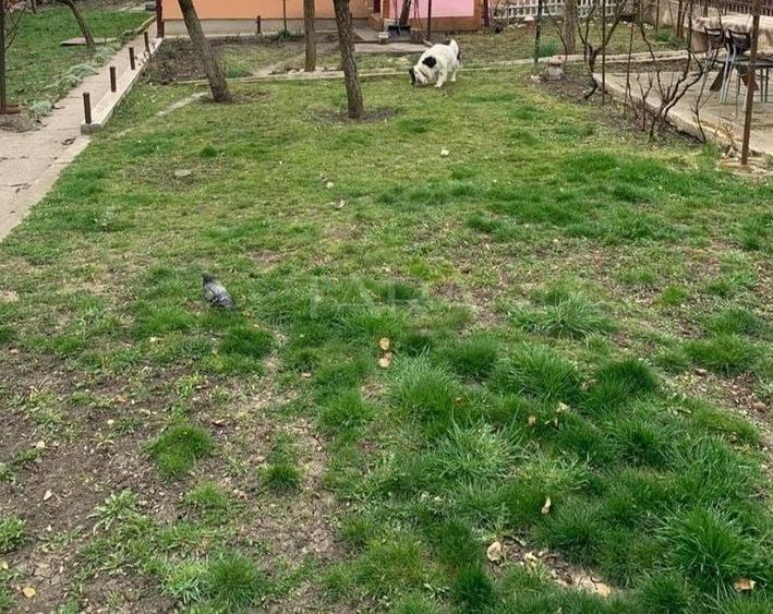 Oportunitate rară! Casă cu teren generos în zona Grand Hotel Italia - 2