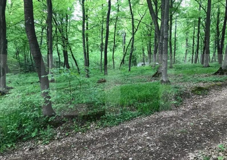 Teren intravilan, 1300 mp, Faget - 2