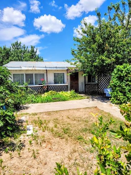 Casa Modernă + Casă de Oaspeți în Chișcani/ teren 1314 mp/panouri fotovoltaice - 4