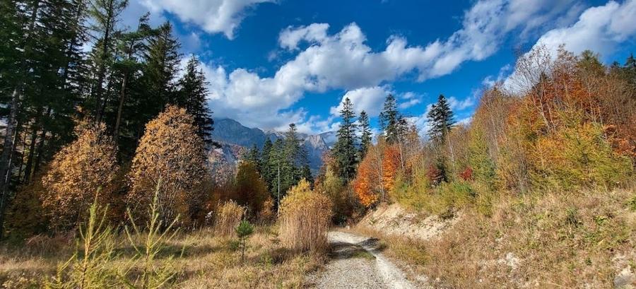 Teren Sinaia/Cumpatu - 6