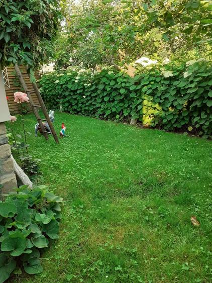 Casa vanzare- Comarnic - 7