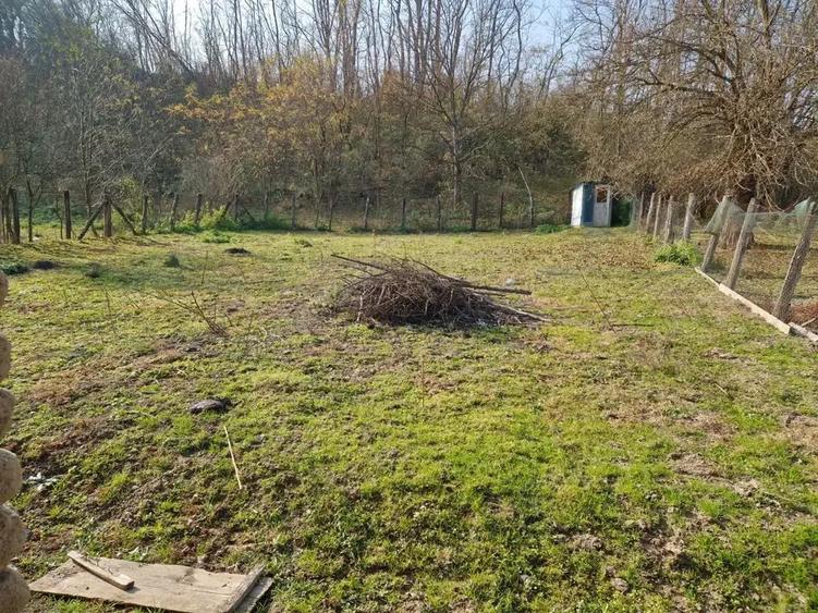 Casa de vanzare Dezesti - 10