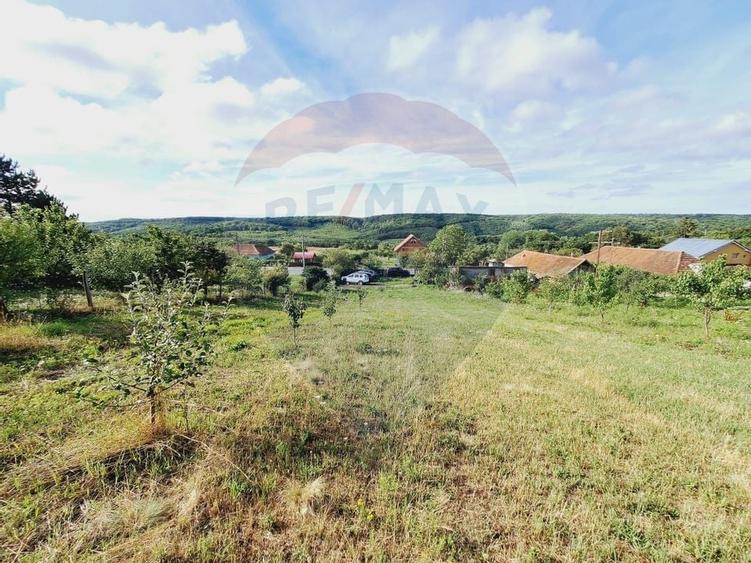 Teren 3,219mp Hidiselu de Sus / Strada Principala - 4