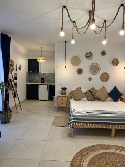 Vanzare casa 5 studio-uri independente - 2