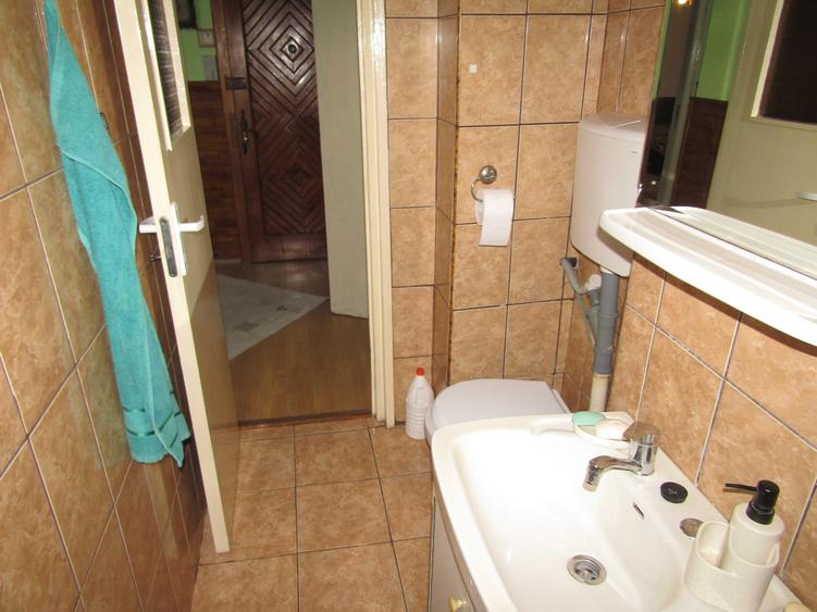 Apartament 2 camere, etaj 2/4, garaj 24 mp+pivnniță, zona Calea Dumbravii - 17