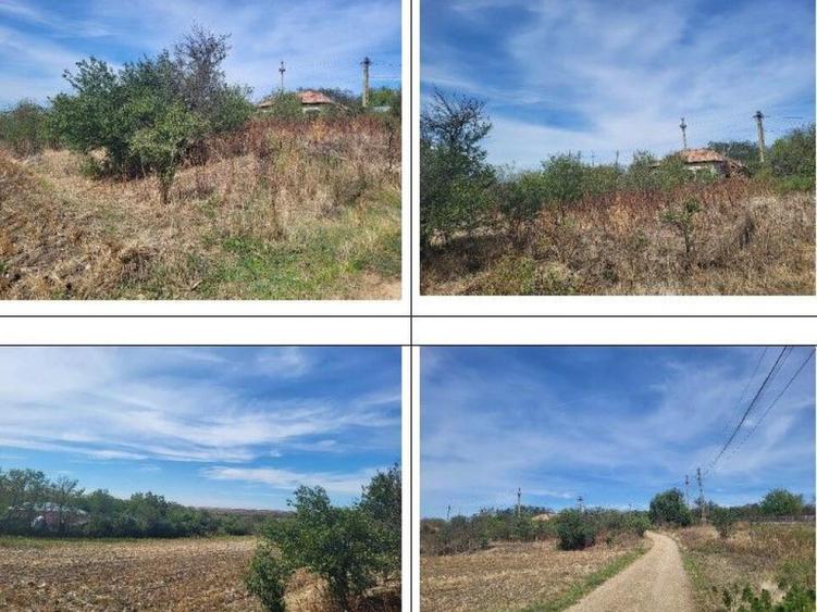 Casa si teren Sat Guruieni, cota parte de 1/2 , ID: R2319667 - 9