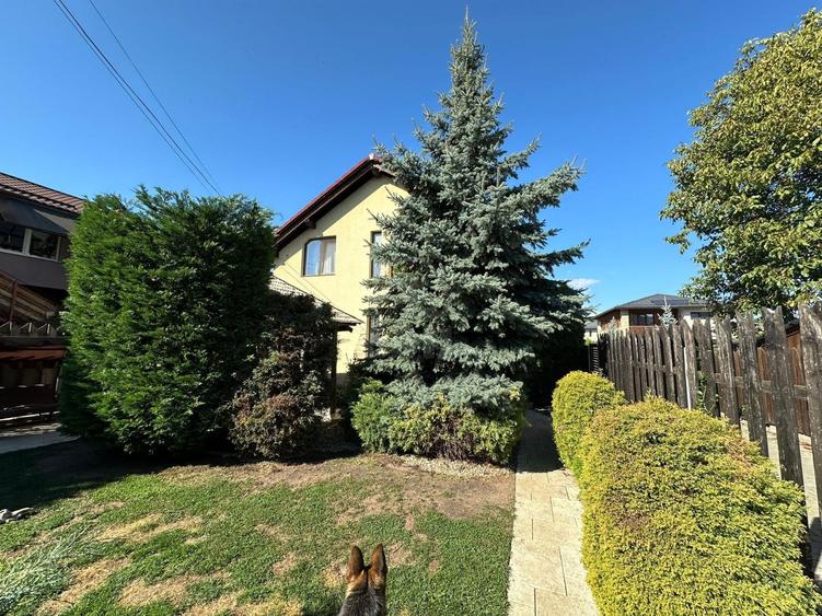 Casa individuala zona Somesului - 3