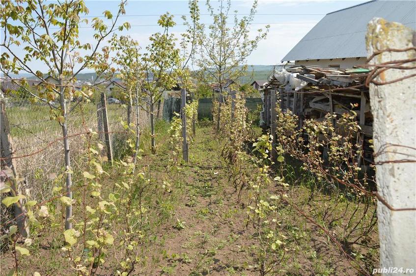 3 case la un pret foarte atractiv Horpaz, Iasi !!! - 9