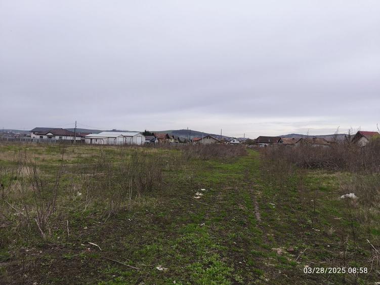 Teren drept  19059 mp - toate utilitățile - asfalt - Sancrai - 2
