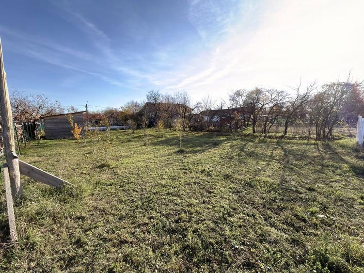 Teren de vanzare Micula - 12