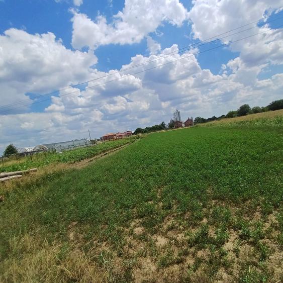 Vand/schimb teren - 2