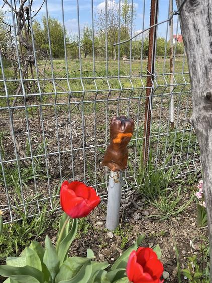 Teren Corbeanca Ostrat - 2