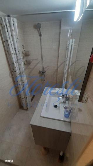 Casa individuala 4 camere 124 mp,4000 mp teren zona Cuzaplac - 11