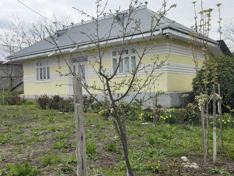 Casa de vanzare Berezeni Vaslui - 5