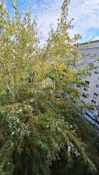 Studio Brancoveanu | 5 min metrou | 42 mp | Mobilat | Renovat - 5