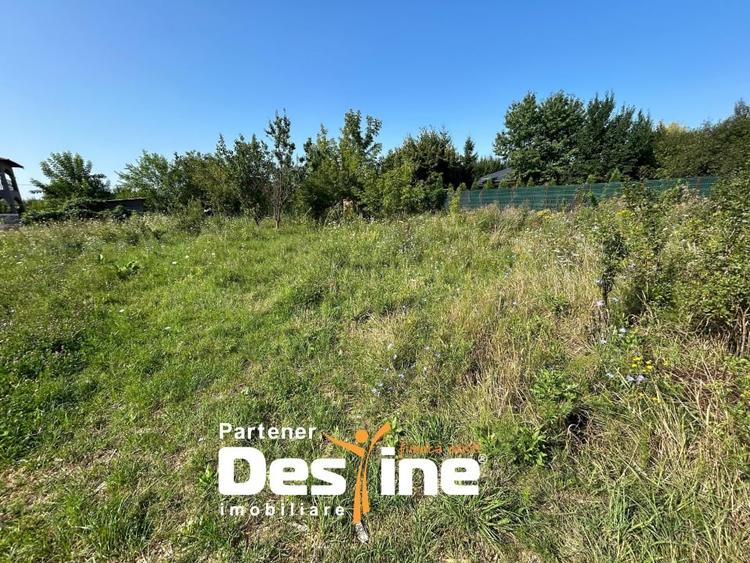 Teren Intravilan - Hlincea (Ciurea) 1000Mp - 6