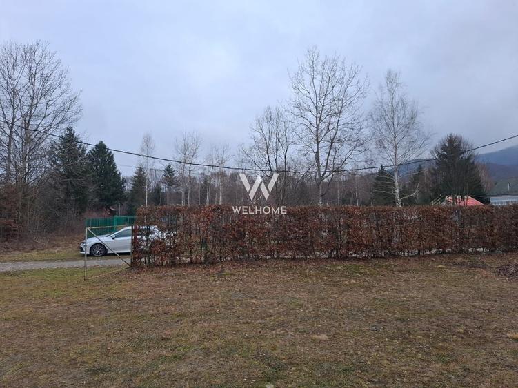 Teren deosebit pozitionat, cu livada, langa padure,  pe Valea Avrigului - 8