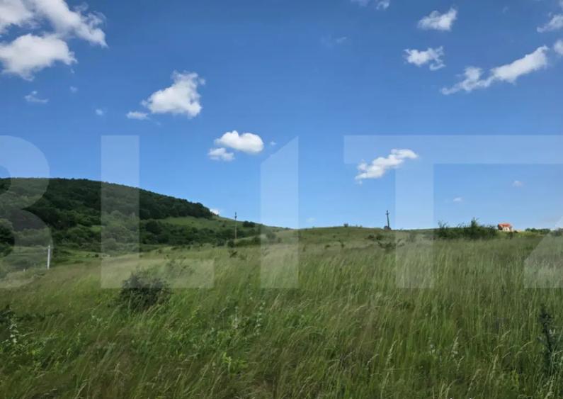 Teren de investitie in localitatea Ciurila - 1