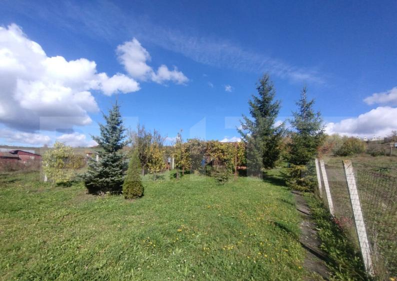 Cabana cu teren intravilan de 10 ari situat in Sigmir - 6