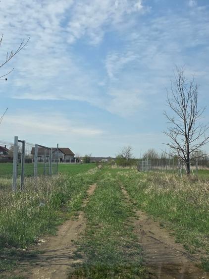 Teren de vanzare in Ciolpani - 6