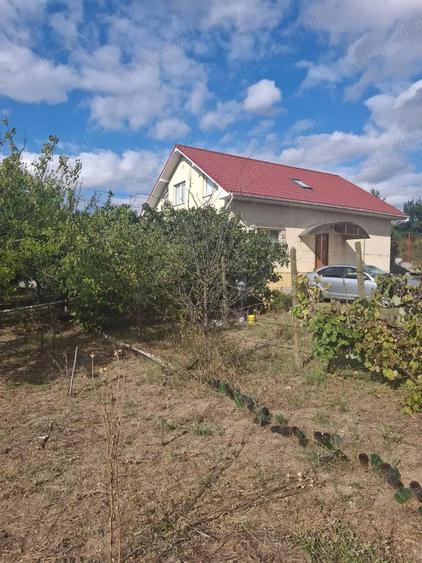 Vand casa Poarta Alba - 10