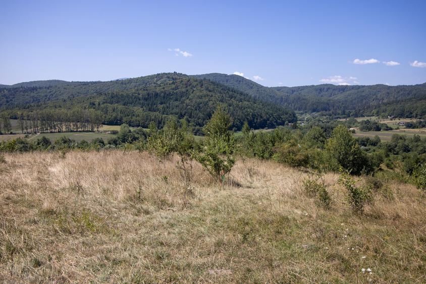 Comision0%Teren 4200 mp Vulcan Brașov – ideal casă de vacanță / turism - 7