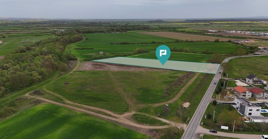 Teren intravilan 5800 mp in Remetea Mare - 5