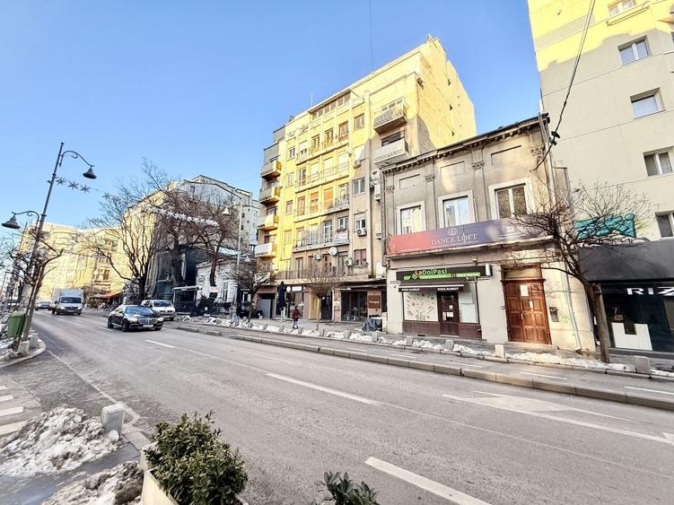Calea Victoriei ap 2 camere cu terasa parter risc 1 - 21