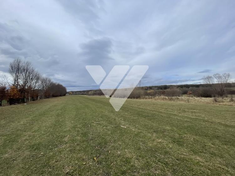 Teren intravilan pentru dezvoltare rezidentiala 4400 mp - 5