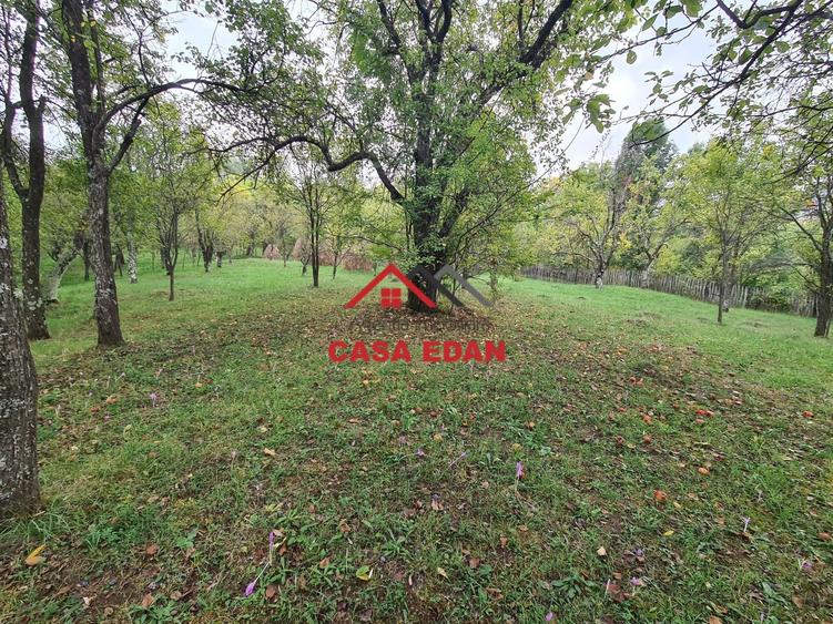 Teren intravilan in Sotrile--5991mp--10e - 5