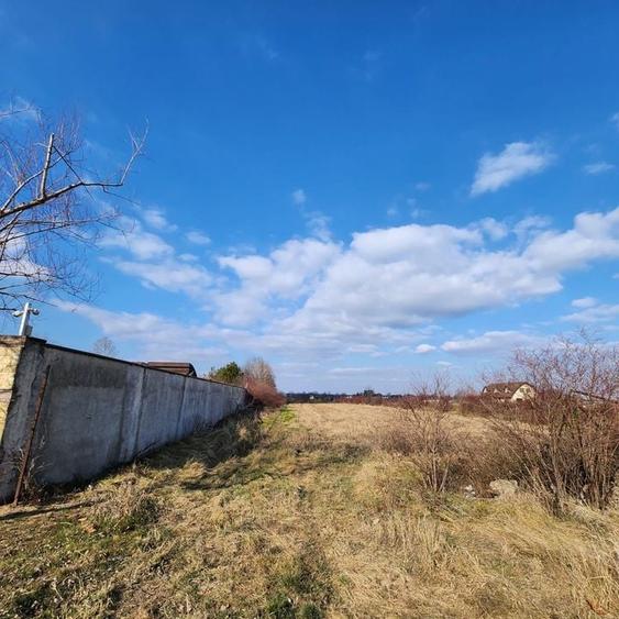 Teren cu deschidere lac Snagov Vladiceasca - 9