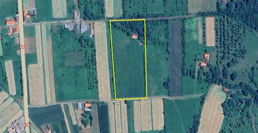 Borlovenii Noi, Teren Drept, 16000mp, la Limita Localitatii - 9