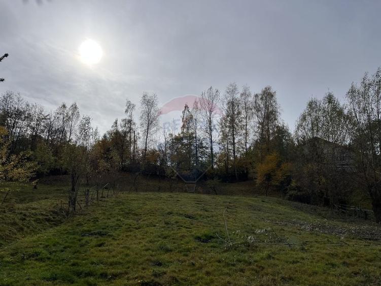 Teren de Vis in Bran - 1000mp Plat, Liniste Absoluta si Aer Curat - 11