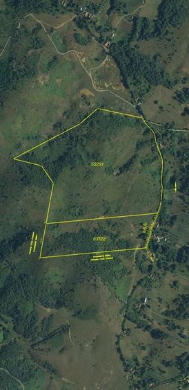 Pasune si padure 40,8983 ha ,pretabil expl piatra pt constructii - 5