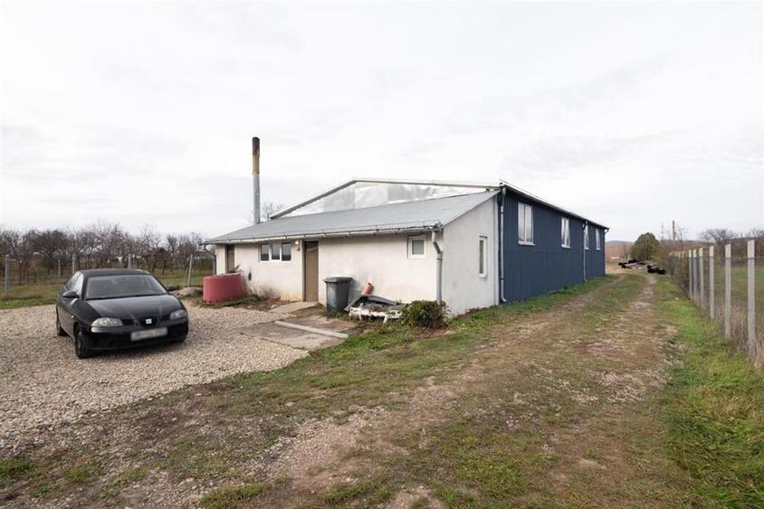 RECO Hala Industriala Tileagd - 4