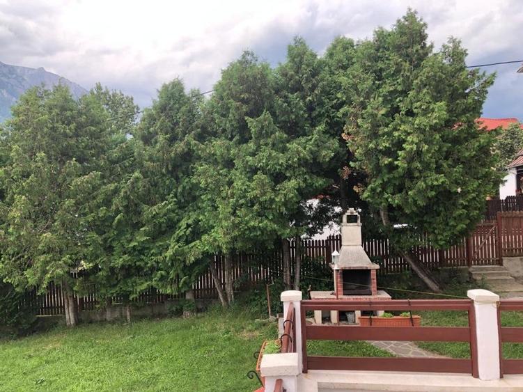 Vila pensiune , zona superba, Zamora, Poiana Tapului, Comision 0!!!! - 7