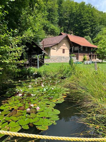 Casa de vanzare Firiza - 4