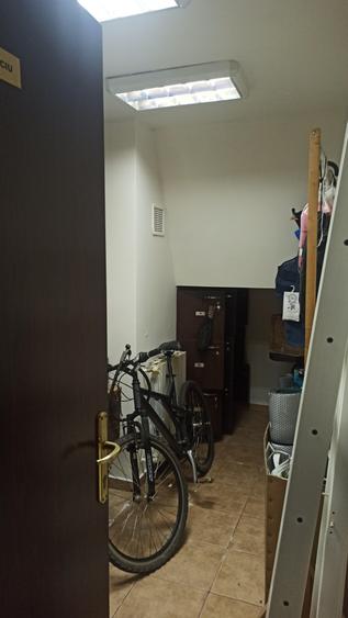 Ferdinand - Mihai Bravu (Fluierului-Medlife ) 3 camere in zona de vile - 18