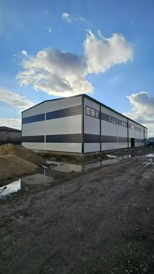 Hale Noi De Inchiriat | Chitila | Iesire direct In Centura - 2