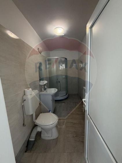 Casă + anexă cu terasă și grătar – 750 mp teren, Pricaz - 10