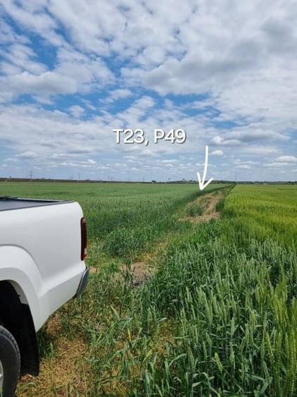 Proprietar, terenuri agricole extravilane, cadastru si intabulare, A0 - 9