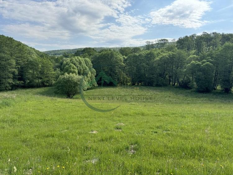 Teren extravilan - oportunitate investitie - 3