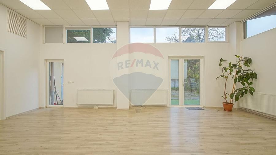 CENTRAL - Vila  DE INCHIRIAT  - pretabila diverse businessuri - 20