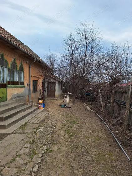 Vand casa in com.Poiana Mare,jud.Dolj - 6
