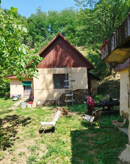 Dealul Florilor, casa 75 ari teren - 8