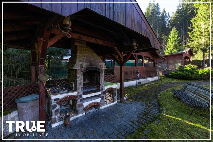 Cabană 210 m² + teren 1400 m² | Sălard, Mureș - 17