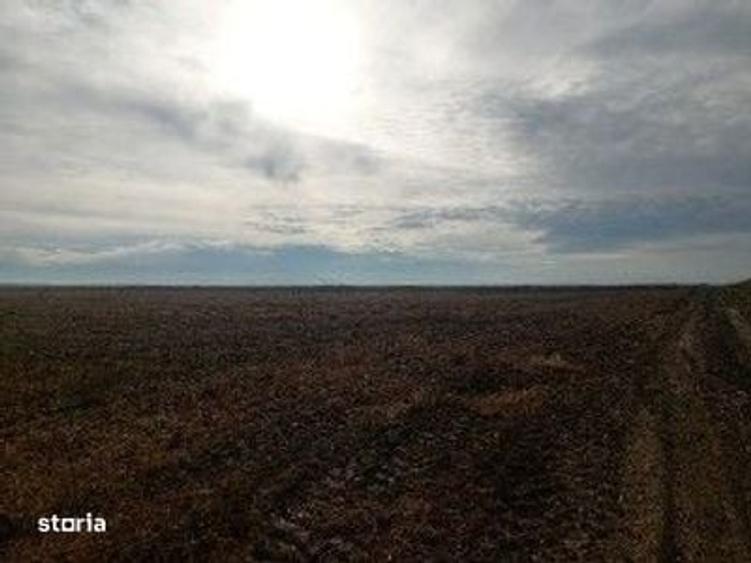 Teren extravilan Lunca Banului, ID: R2944332 - 6